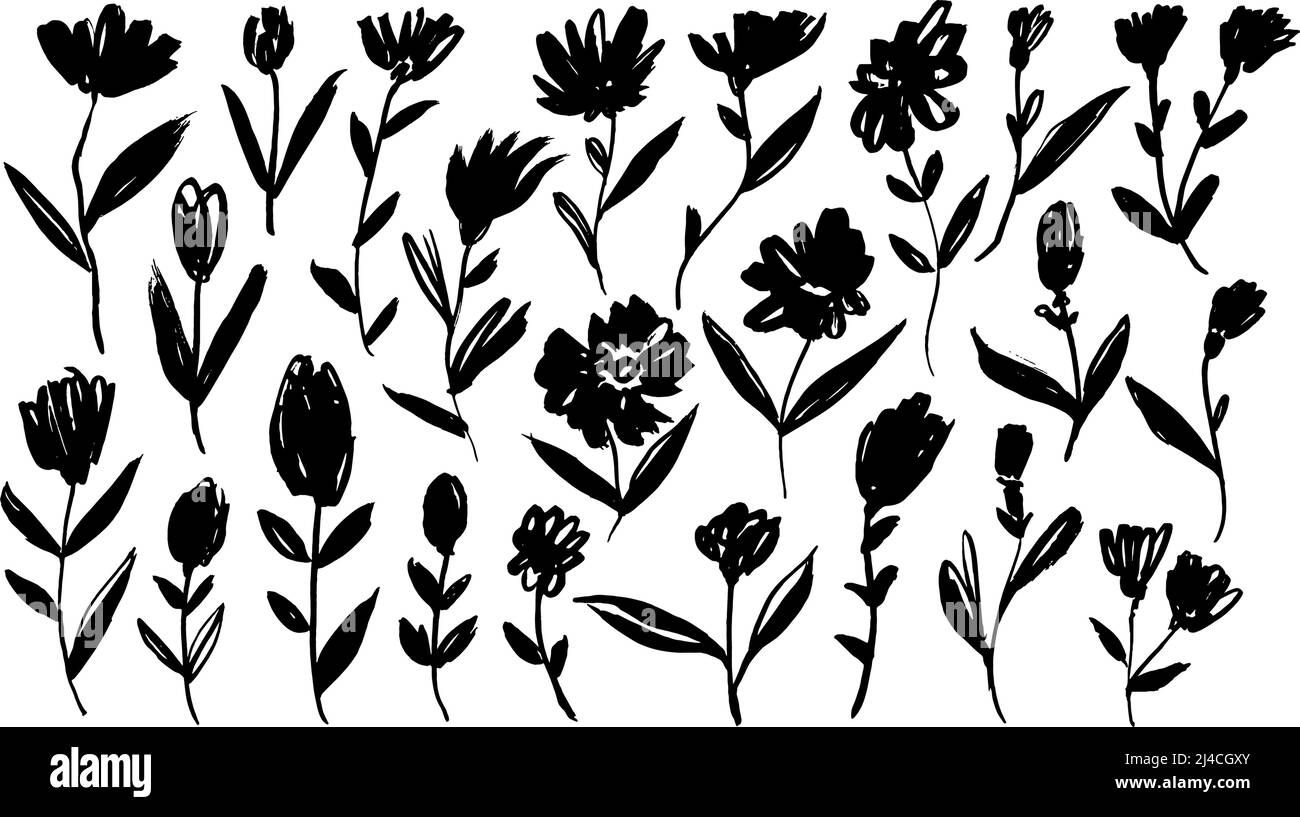 Hand drawing stylized brush flowers on white. Stock Vector