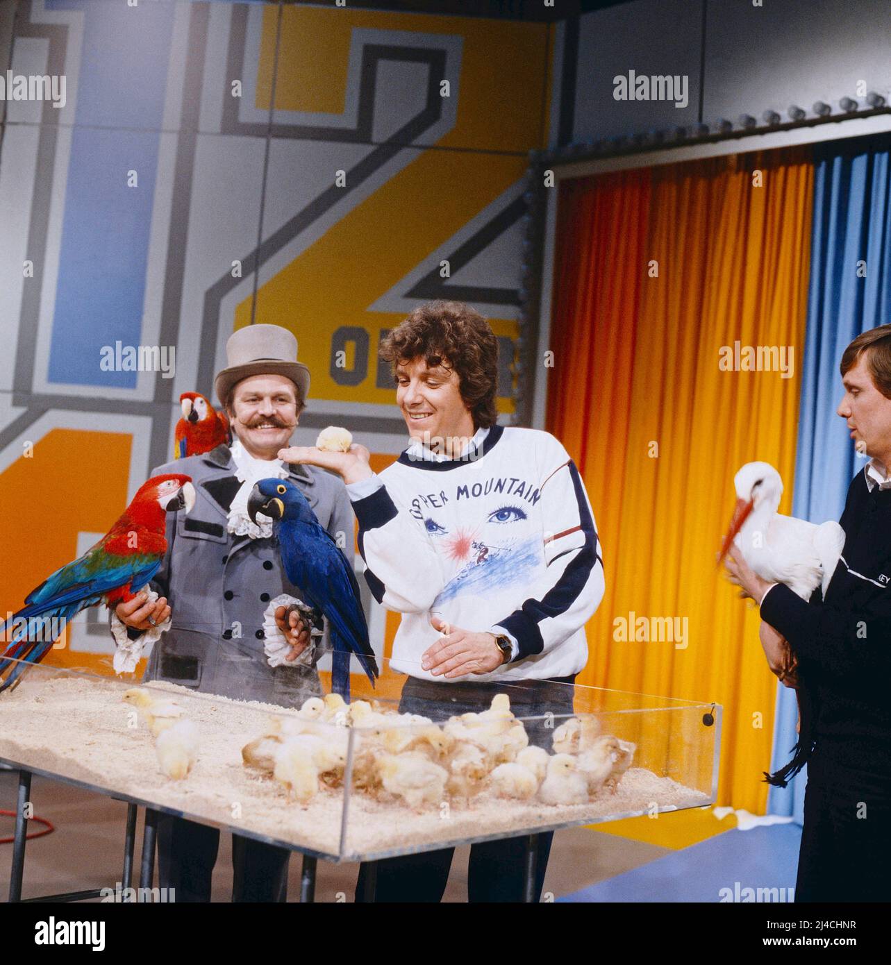 1-2-oder-3-zdf-quizshow-f-r-kinder-moderiert-von-michel-schanze-im
