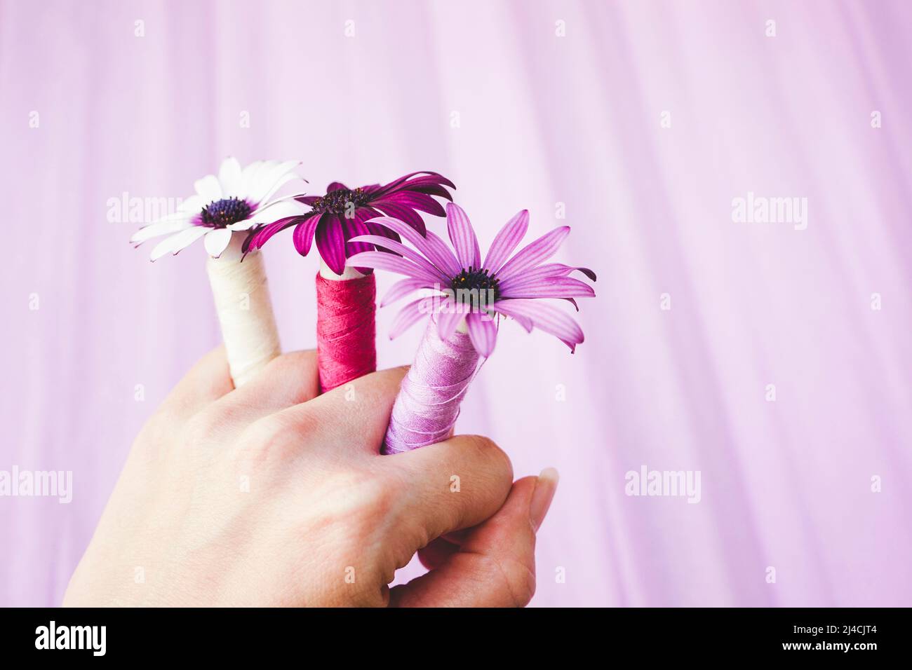 Close up image with a concept between flowers and couture Stock Photo