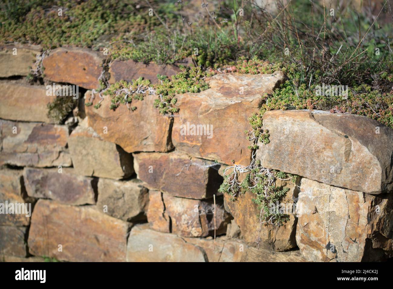 Natural stone dry stone wall, habitat for amphibians reptiles and