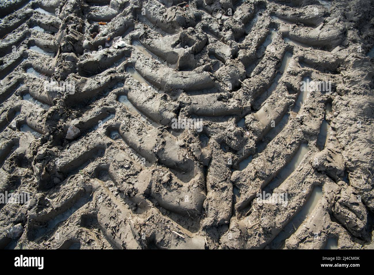 Soil compaction in the field, vehicle tracks, Duesseldorf, Germany ...