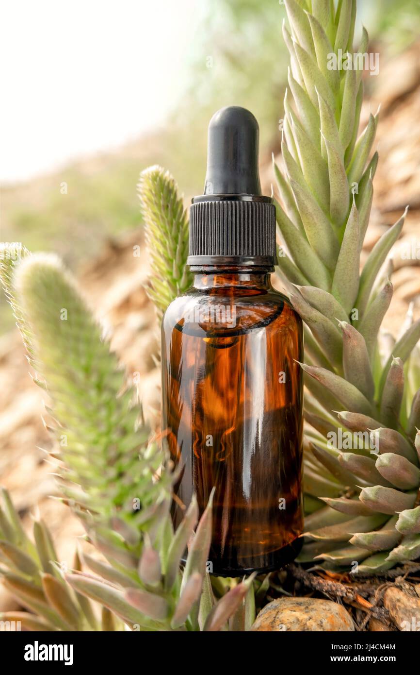 One brown glass dropper bottle with serum, essential oil or other cosmetic product outdoors. Natural Organic Spa Cosmetic Beauty concept. Stock Photo