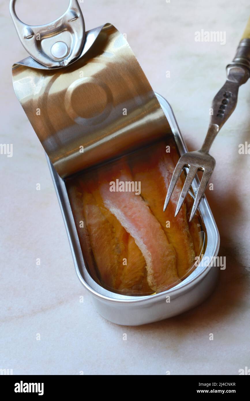 European anchovy (Engraulis encrasicolus), canned anchovy fillets Stock Photo