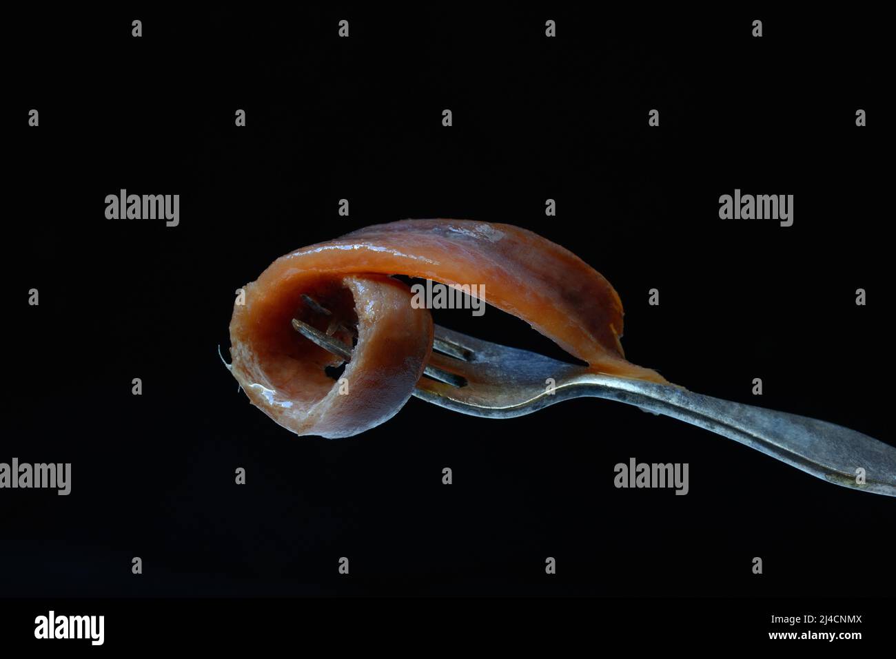 European anchovy (Engraulis encrasicolus), anchovy fillet on fork Stock Photo