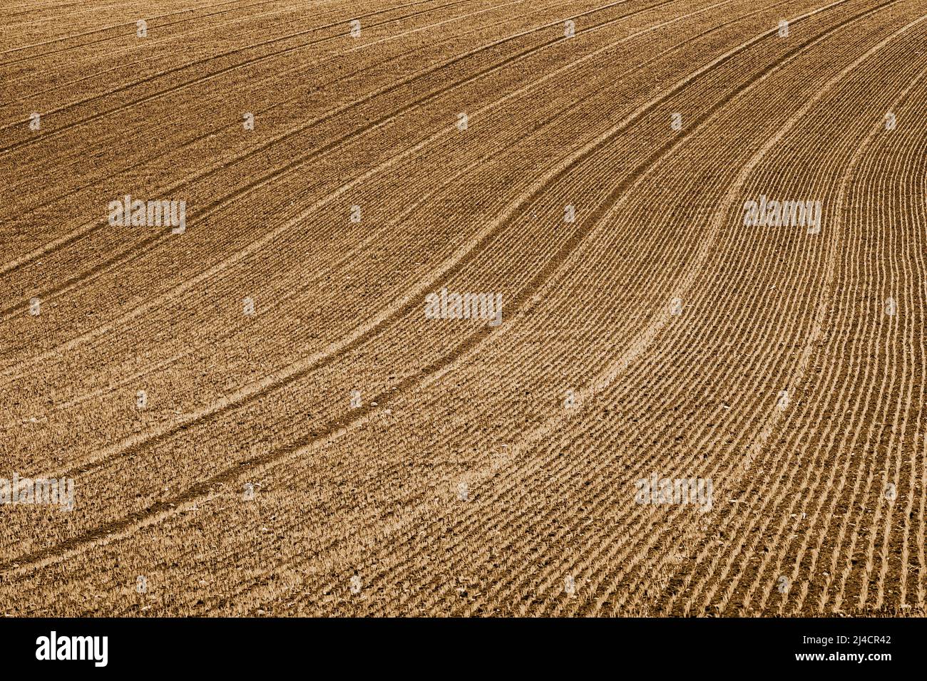 Agricultural landscape, field with ruts, structure on a field, Sepiafahrben, Innviertel, Upper Austria, Austria Stock Photo