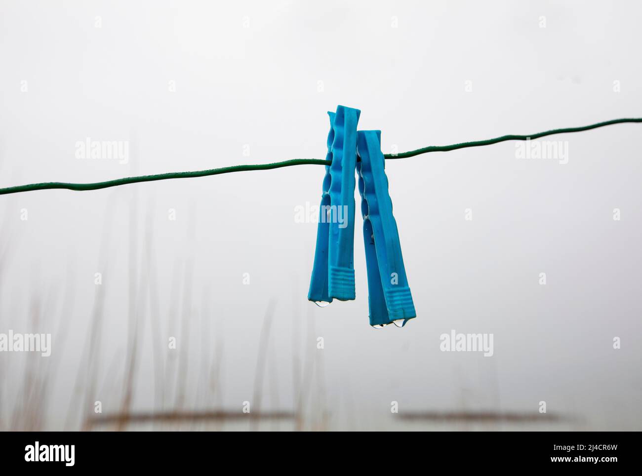 Clothes pegs on a rope with water drops, Mondsee, Salzkammergut, Upper Austria, Austria Stock Photo
