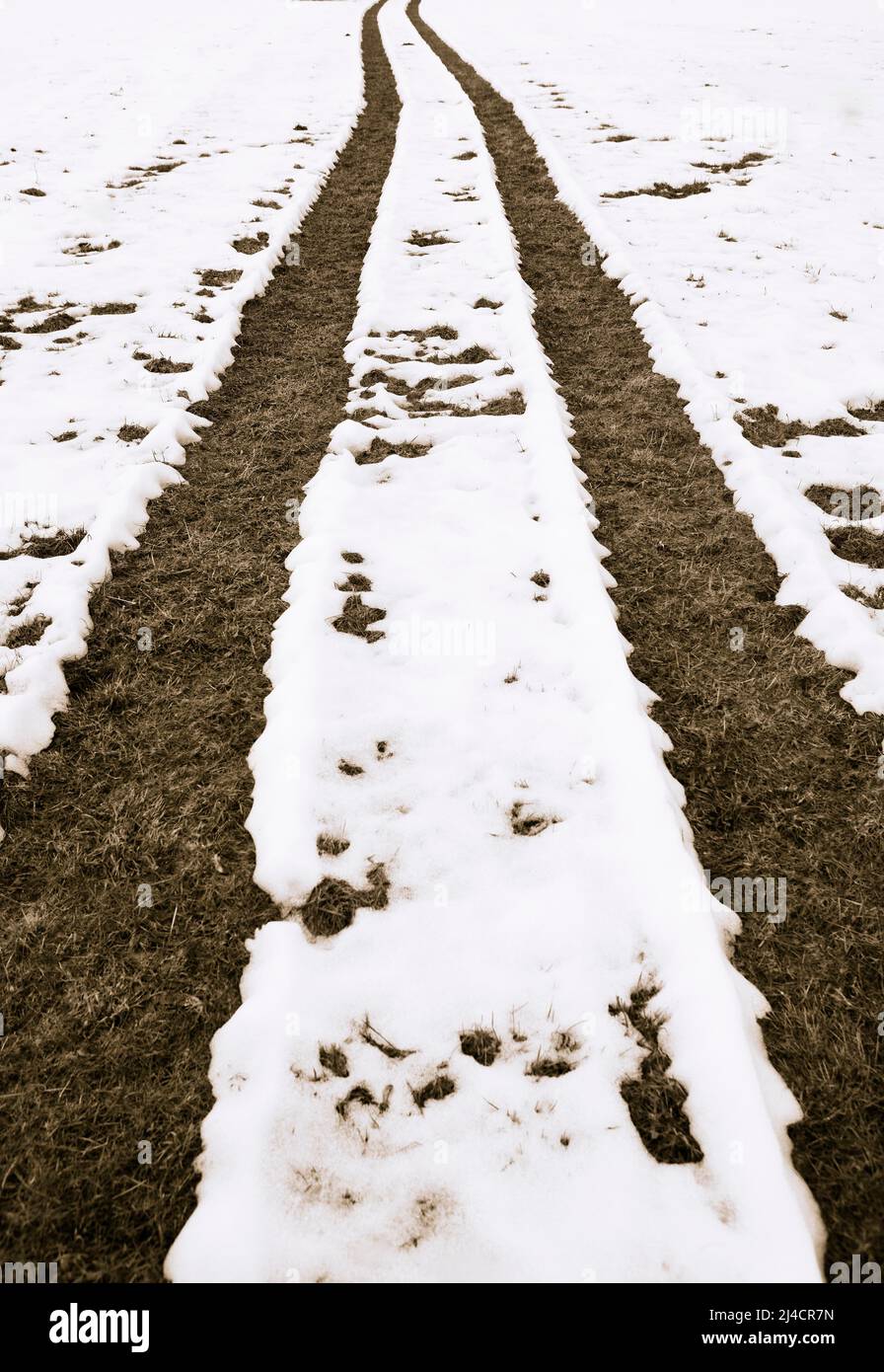 Snowy field path with ruts, sepia colours, autumn landscape, Mondseeland, Mondsee, Salzkammergut, Upper Austria, Austria Stock Photo