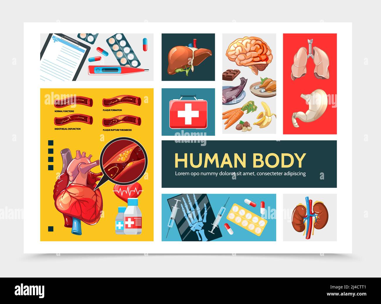 Cartoon healthcare infographic concept with liver kidneys stomach lungs heart clipboard pills syringe thermometer medical box food hand x-ray vector i Stock Vector