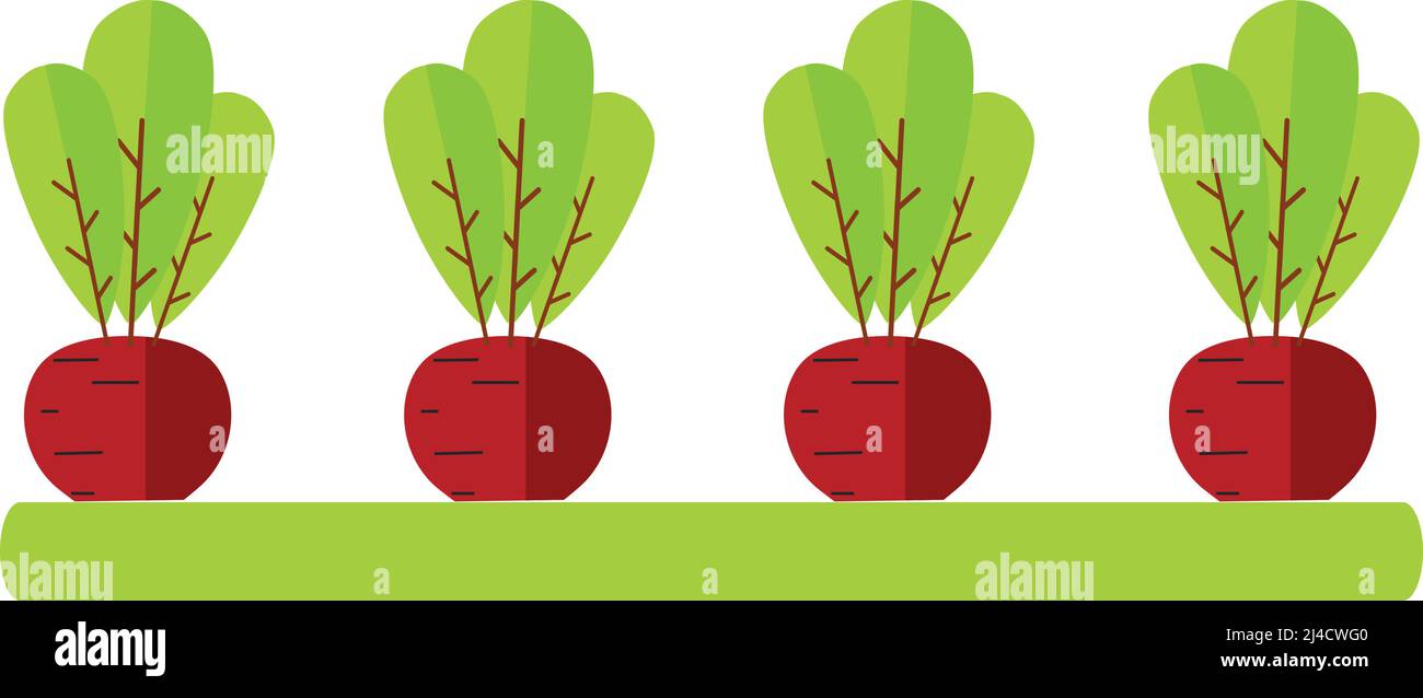 Cute Cartoon Beetroot Vegetable in Flat Style Stock Vector Image & Art