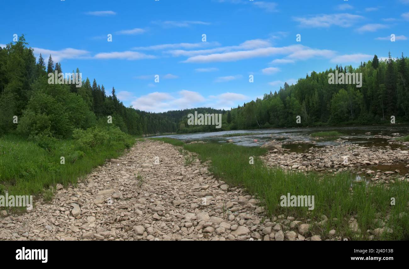A temporary (seasonal summer) improvised road along the bed of a drying river (summer steady low water level), russian roads. Siberian taiga Stock Photo
