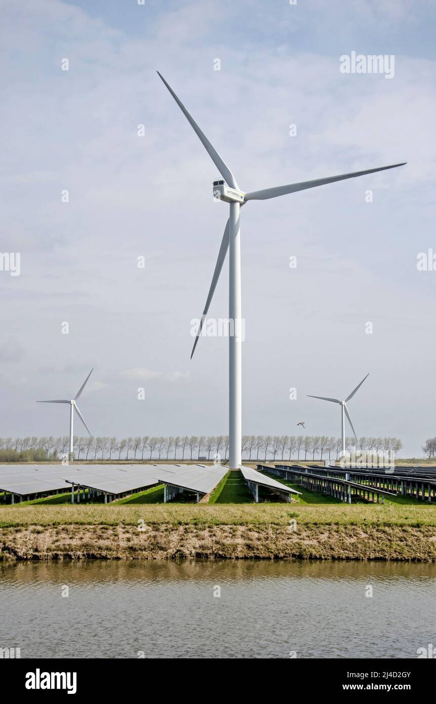 Middelharnis, The Netherlands, March 30, 2022: view across a field of solar panels, one large wind turbine and two more turbines in the distance Stock Photo