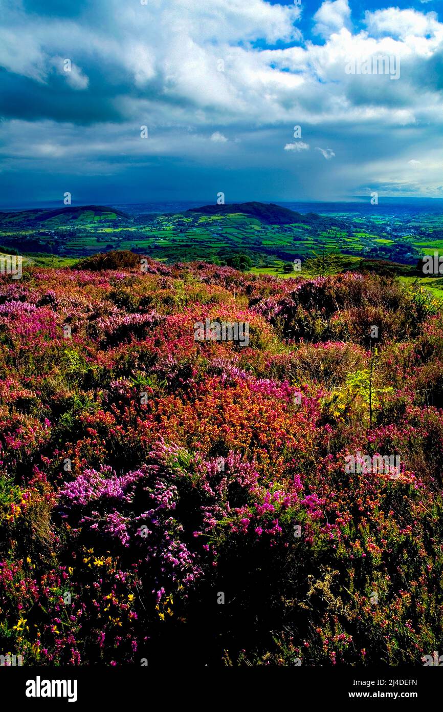 Slieve Gullion, County Armagh, Northern Ireland Stock Photo