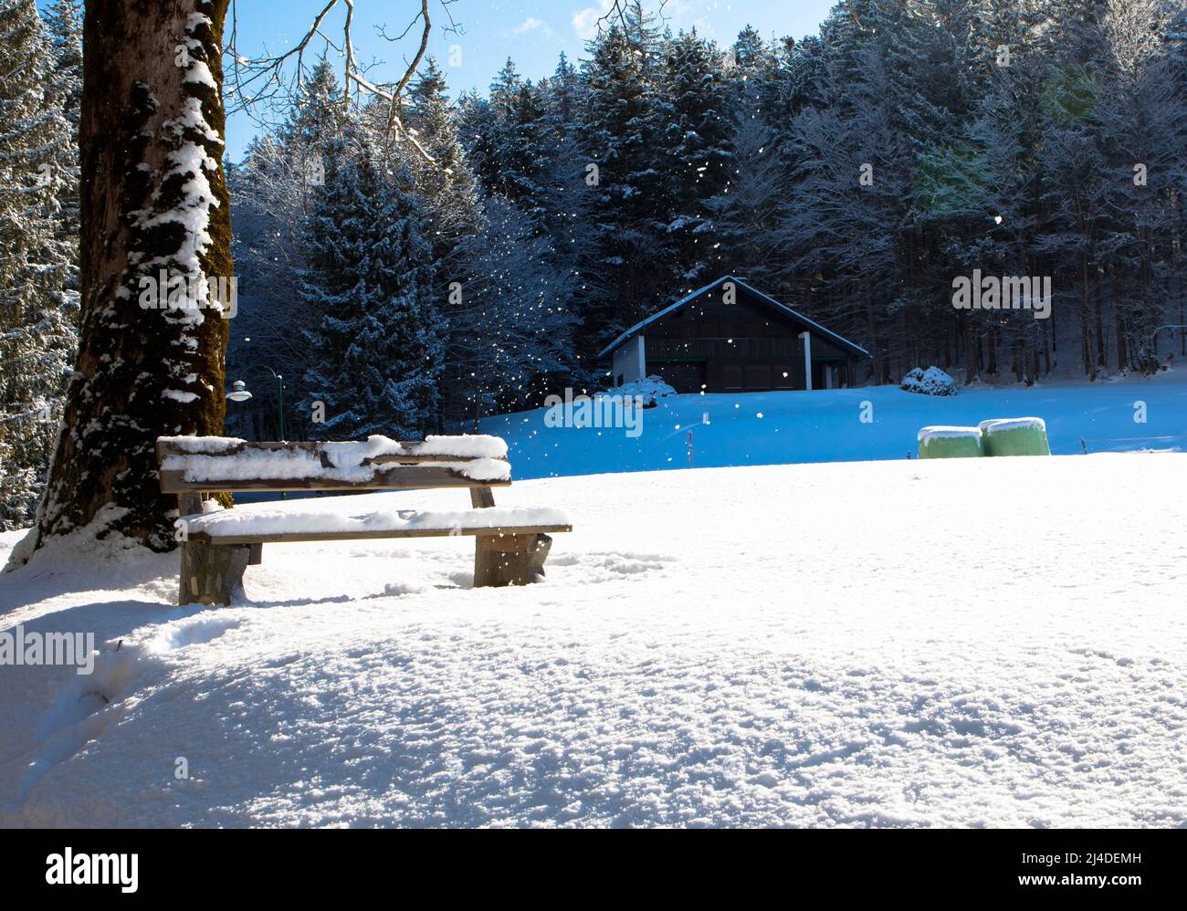 Wooden park bench and trees covered by heavy snow Stock Photo - Alamy