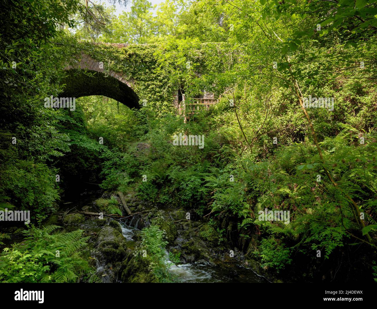 Cromwells bridge ,Dun na Ri Forest Park, County Cavan ,Ireland Stock Photo