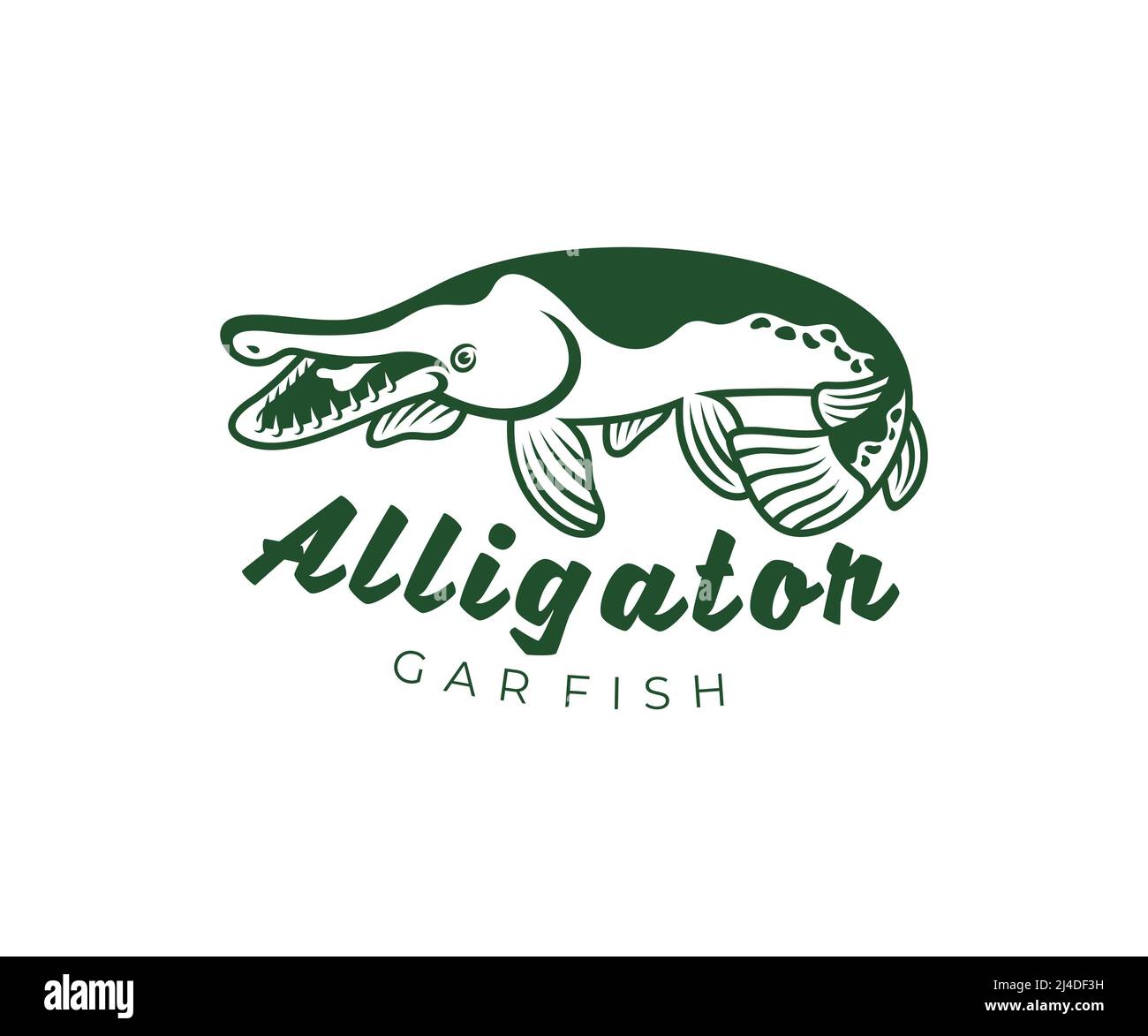 Alligator gar fish (atractosteus spatula), fishing, logo design. Animal, underwater life, wildlife, vector design and illustration Stock Photo