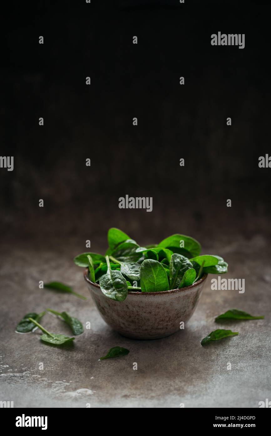 Baby spinach growing hires stock photography and images Alamy