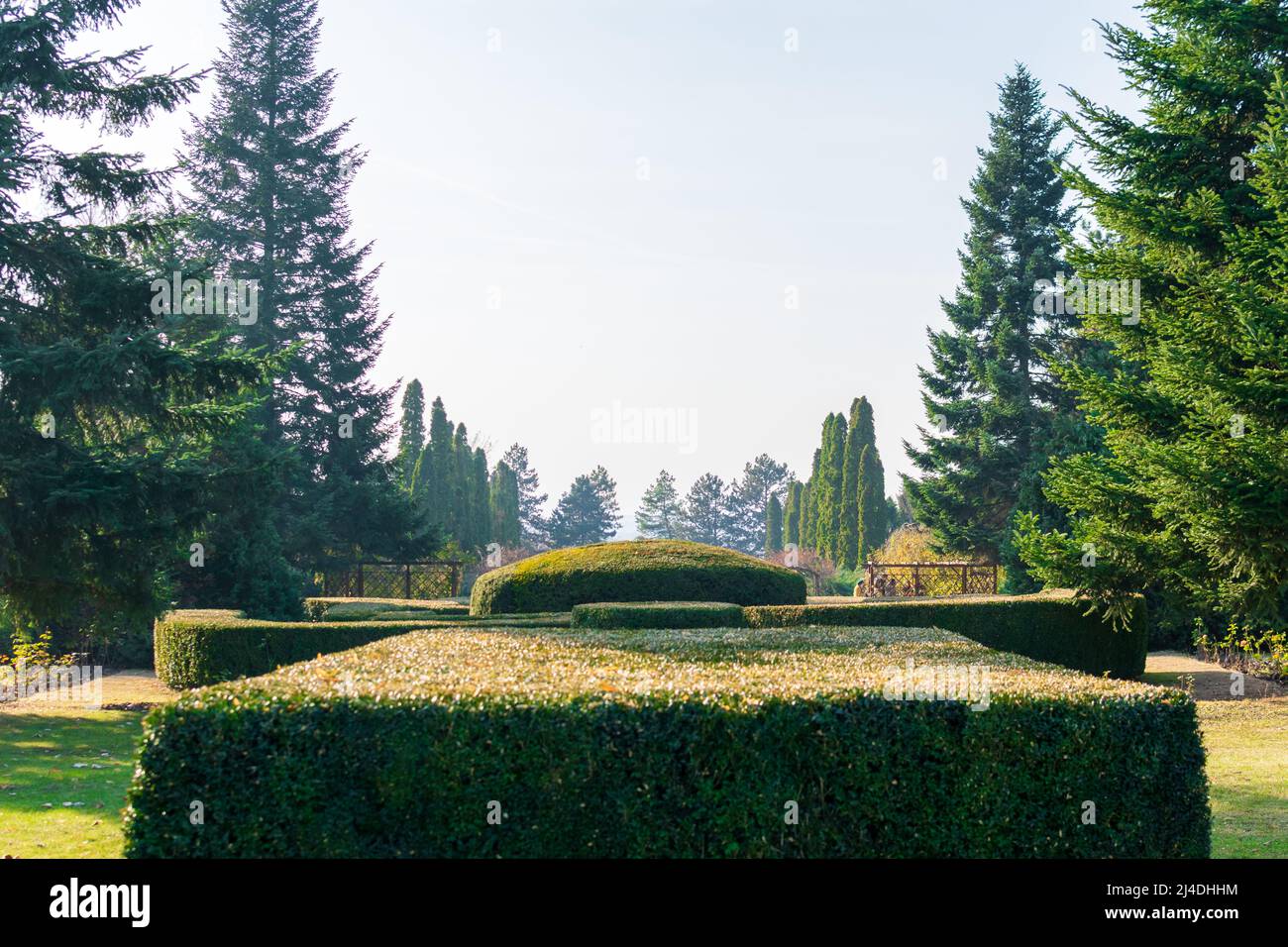 Geometrical bushes at Botanic Garden Iasi, Romania Stock Photo