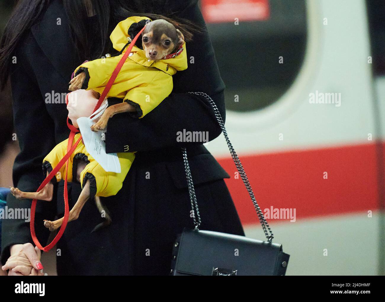 Berlin, Germany. 14th Apr, 2022. A woman has her dog in one hand and a child in the other as she makes her way up the escalator at the main train station. Shortly before the Easter holidays, many trains are fully booked. Credit: Annette Riedl/dpa/Alamy Live News Stock Photo