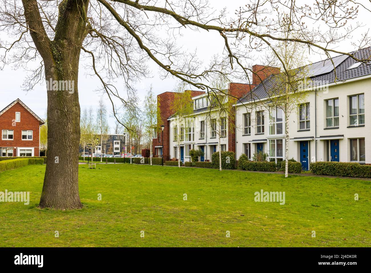 Row of modern newly build family houses along canal in Kortenoord in Wageningen, Gelderland in The Netherlands Stock Photo