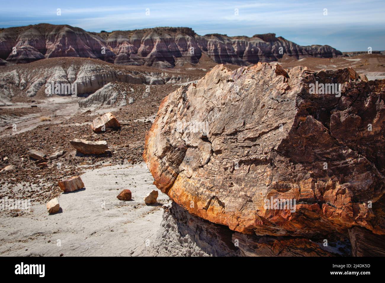 The Blue Mesa, Blue Forest area in Petrified Forest National Park, Arizona reveals many of the petrified trees that litter the park. Stock Photo