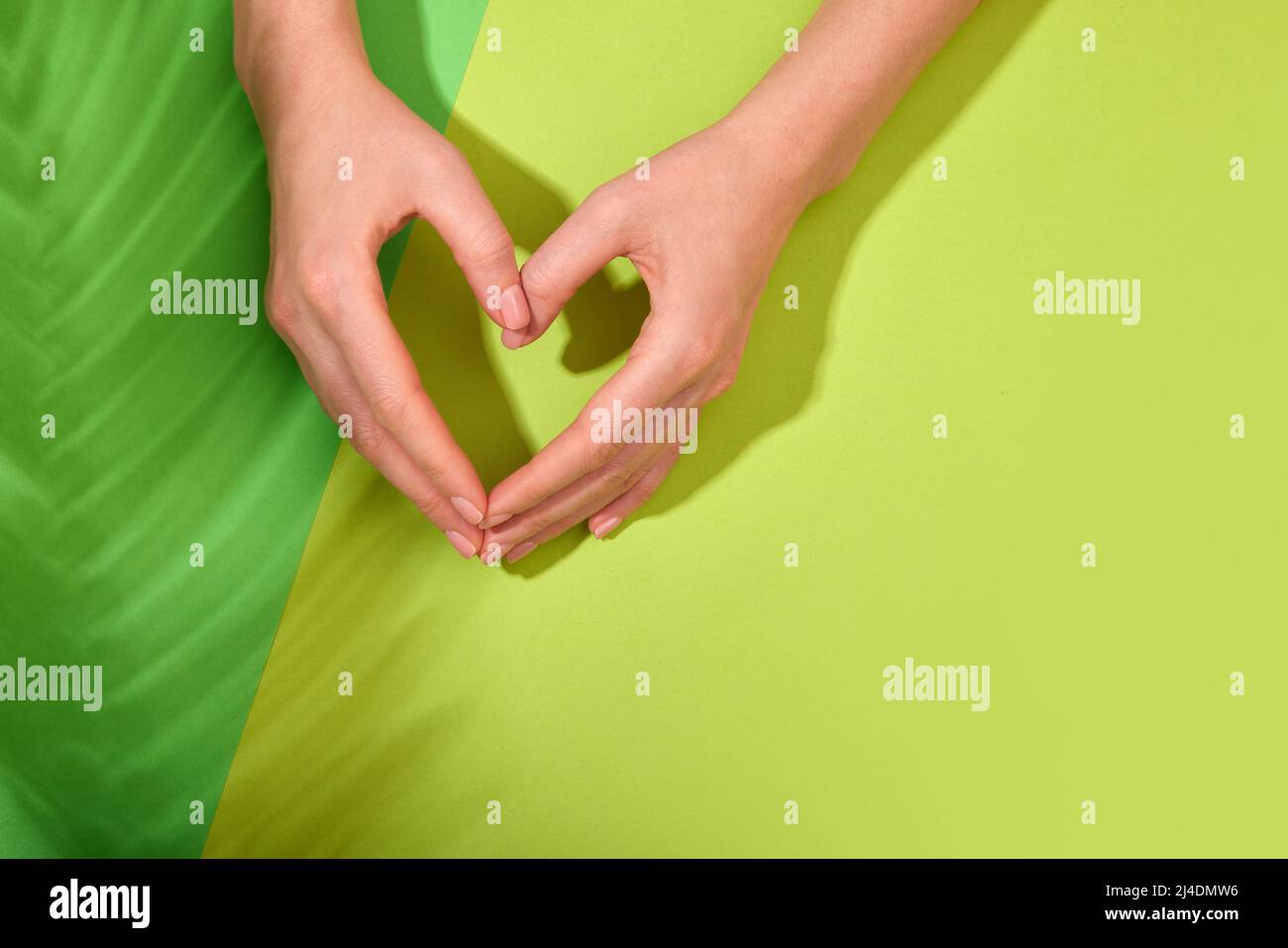 Female hands with natural manicure nails making heart symbol on green background shadow of plant background Stock Photo