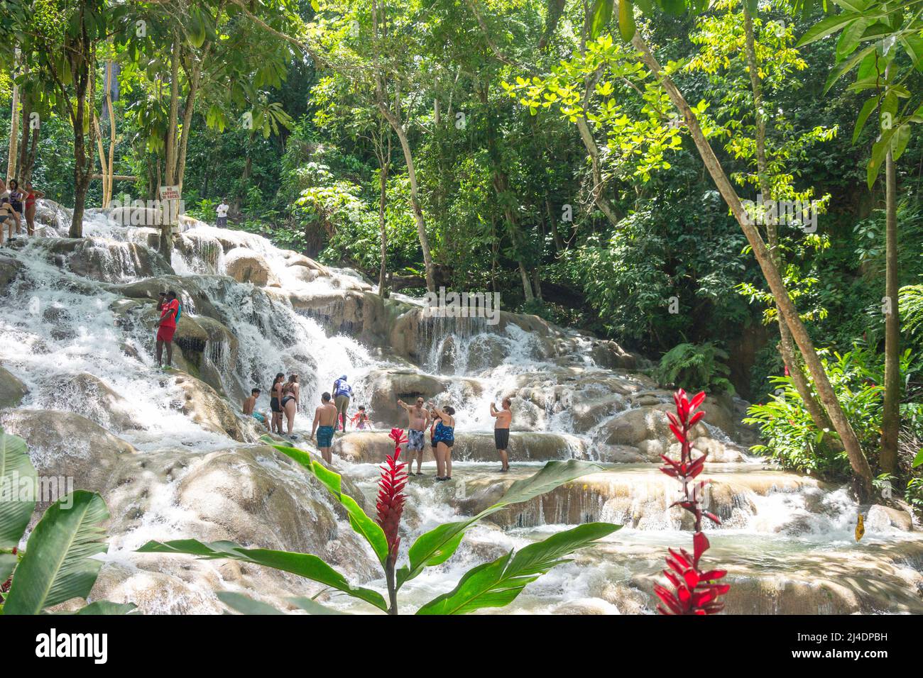Tourists climbing Dunns River Falls, Ocho Rios, St Ann Parish, Jamaica
