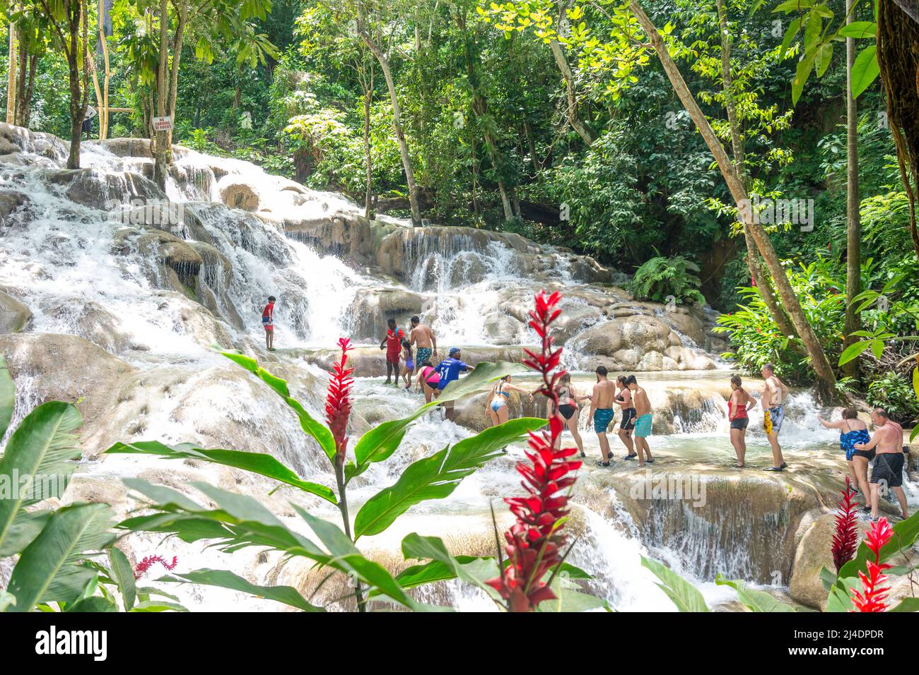 Tourists climbing Dunns River Falls, Ocho Rios, St Ann Parish, Jamaica