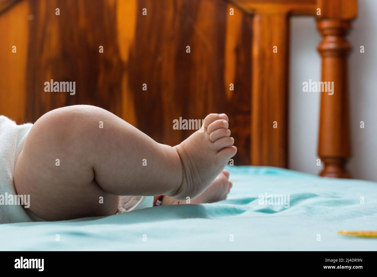 close-up detail of the feet of a latina baby girl lying on a bed with blue sheets. feet of a chubby baby girl, with kicking motion and shrunken toes. Stock Photo
