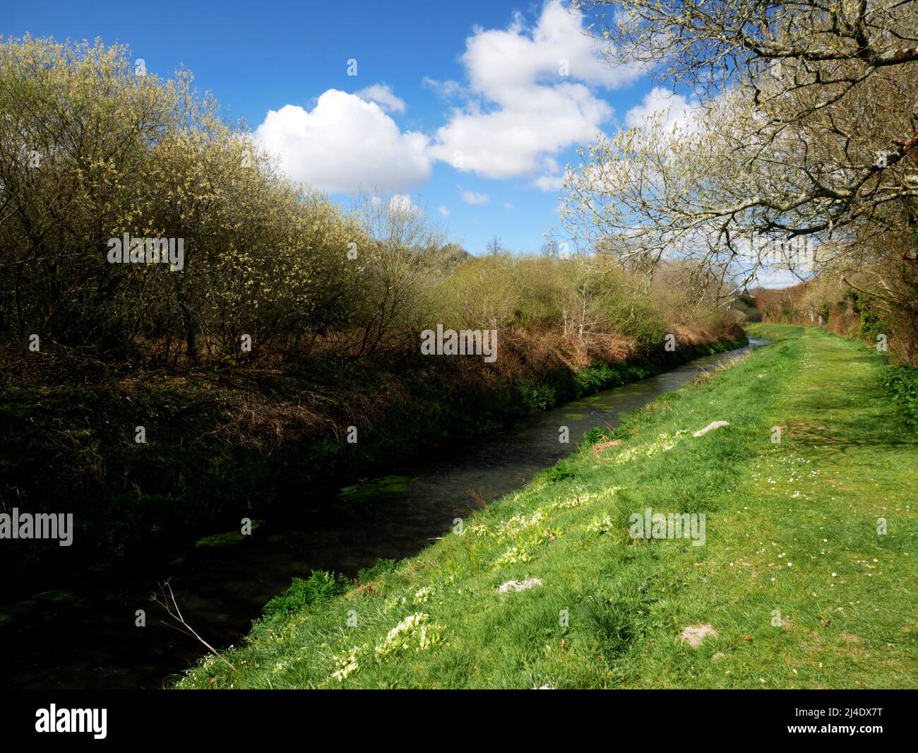 The White, or Pentewan, River at London Apprentice, near St Austell