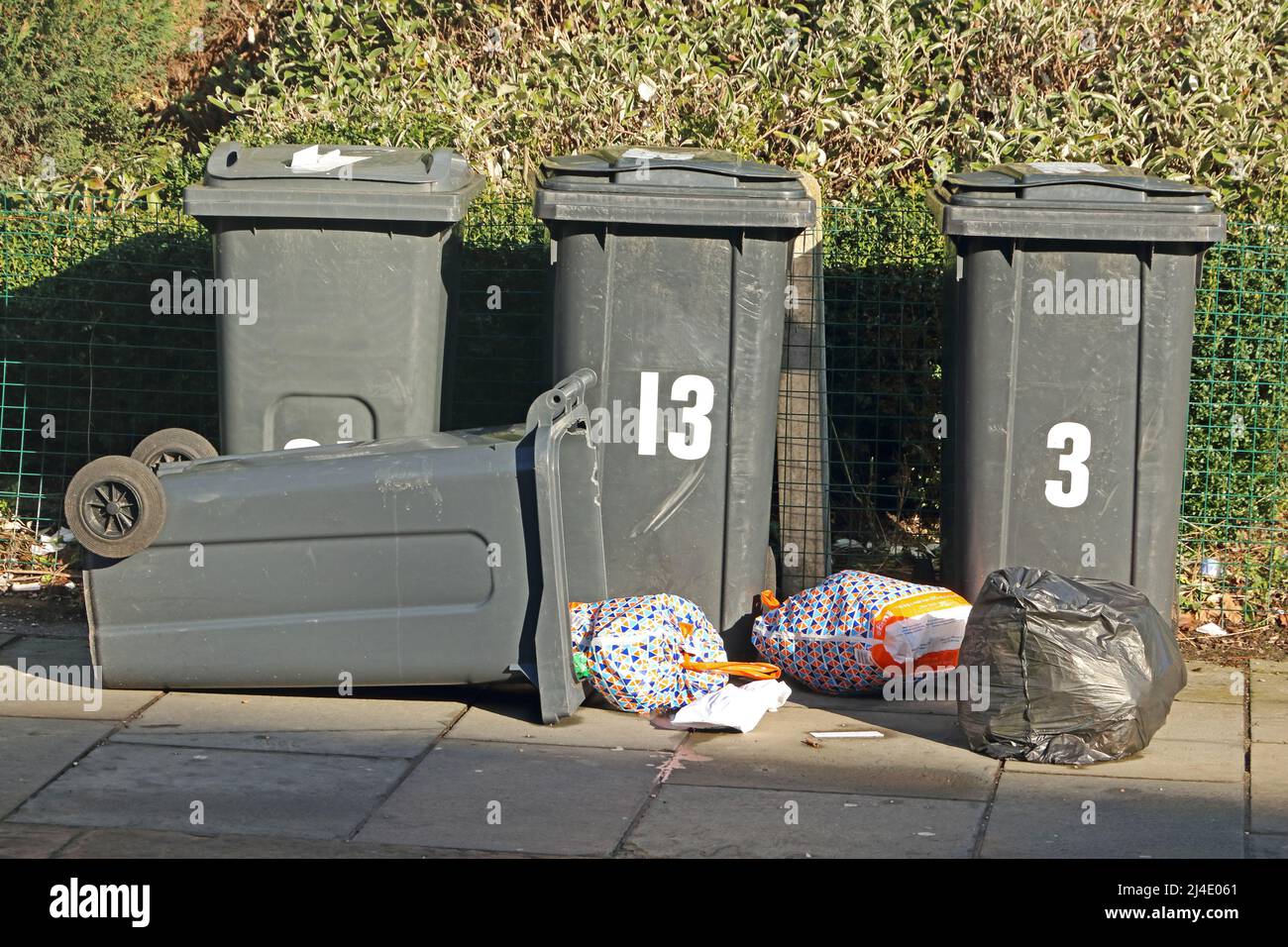 Rubbish bins awaiting collection Stock Photo Alamy