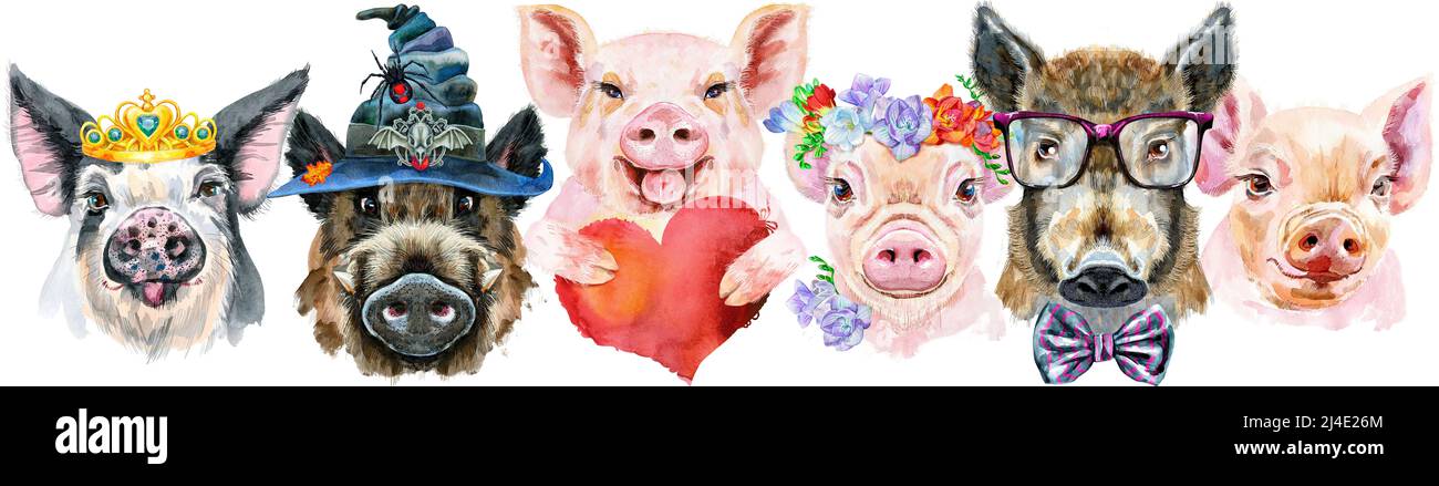 Cute border from watercolor portraits of pigs. Watercolor illustration of pigs in wreath of peonies, glasses, witch hat, golden crown, with red heart Stock Photo