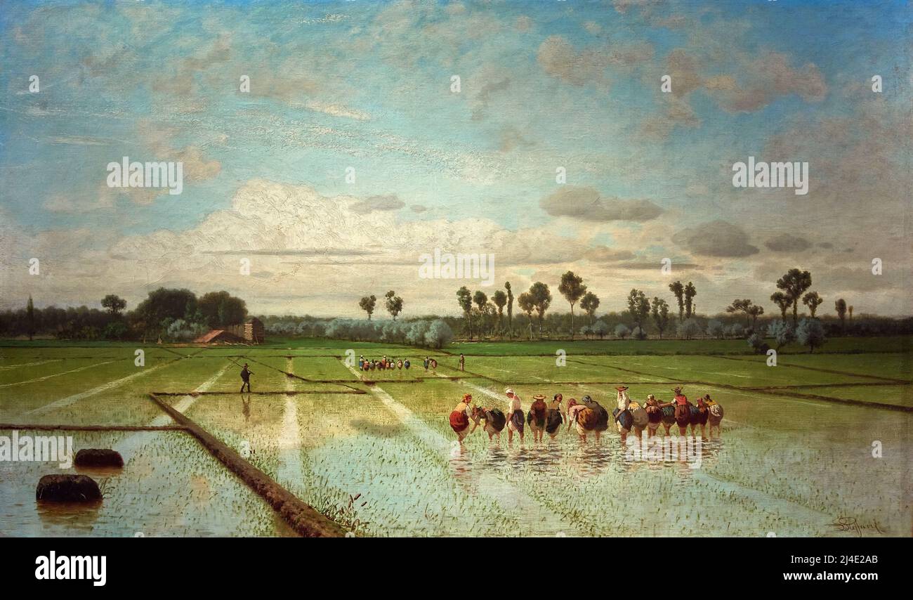 Risaia  - olio su tela - Luigi Steffani - 1864 - Milano, Galleria d’Arte Moderna GAM Stock Photo