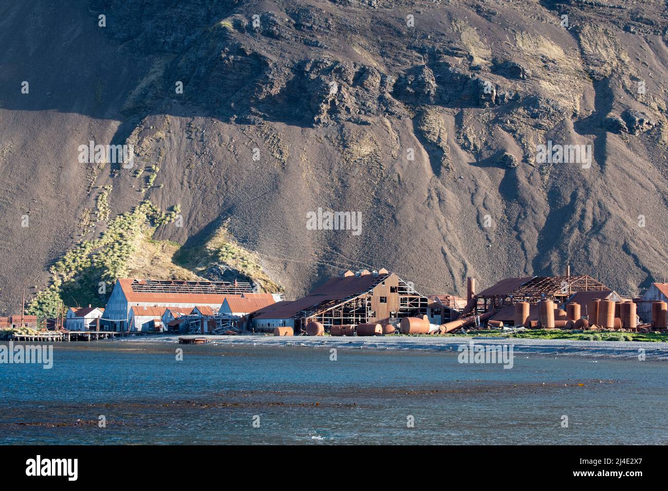 South Stromness. Historic whaling station ruins where