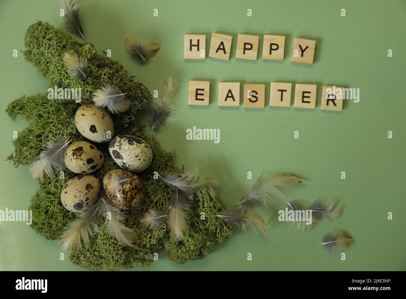 quail eggs on green background Stock Photo