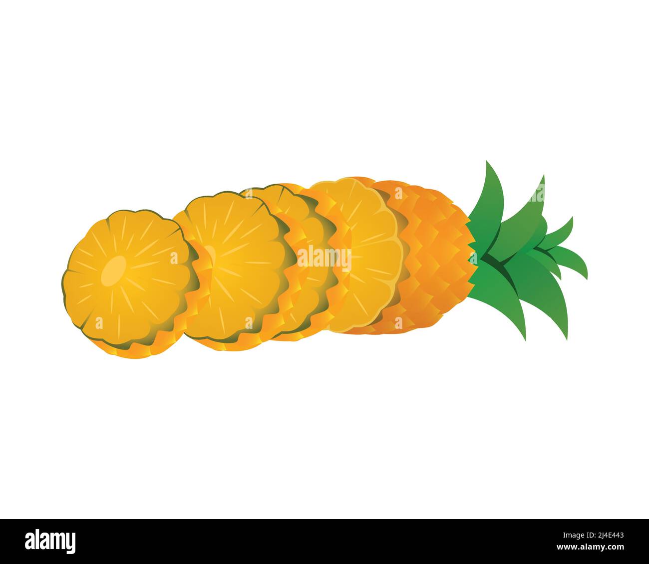 Detailed Pineapple with the Slices Illustration Vector Stock Vector