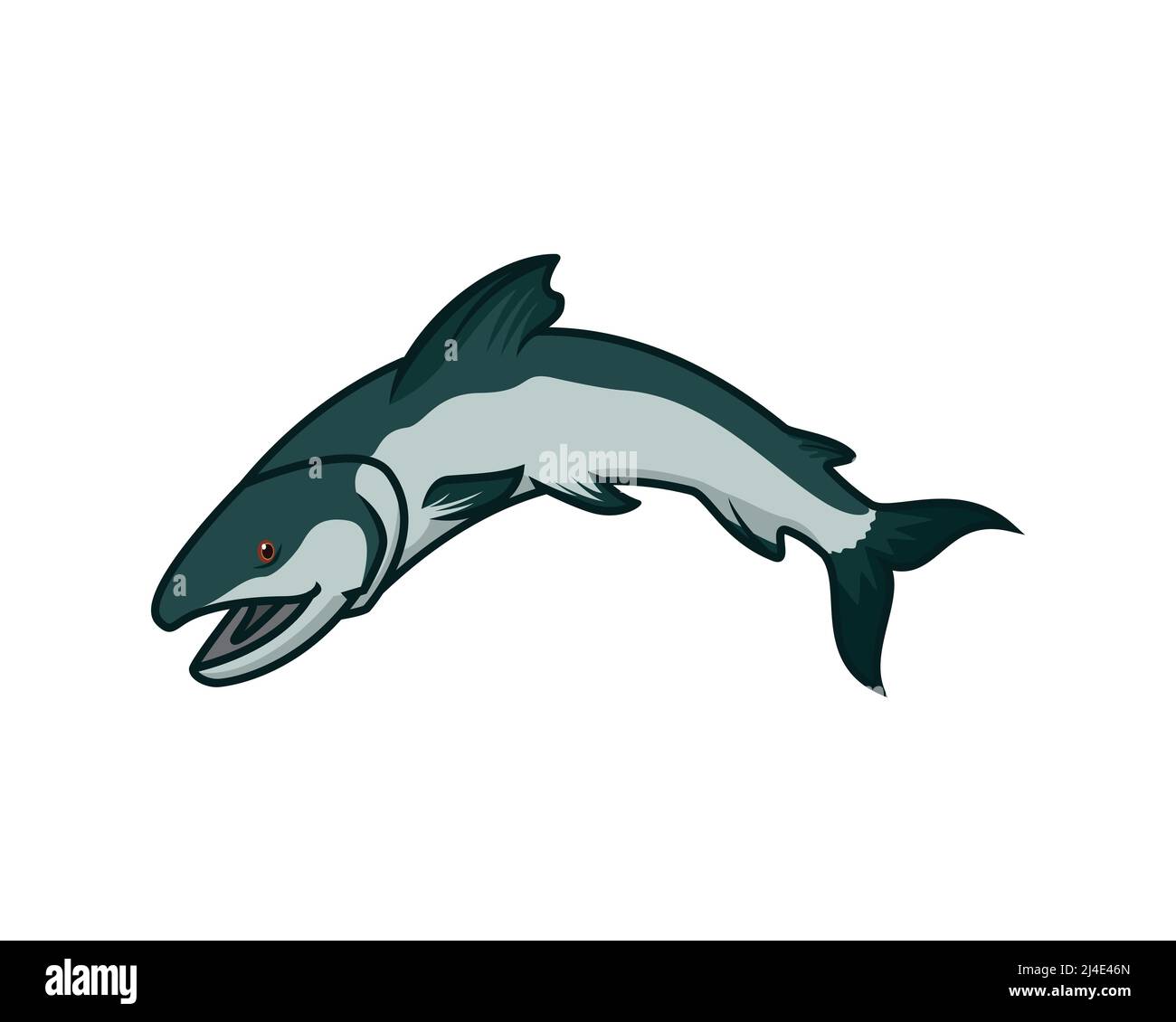 Detailed Salmon with Jumping of the Water Gesture Illustration Vector Stock Vector