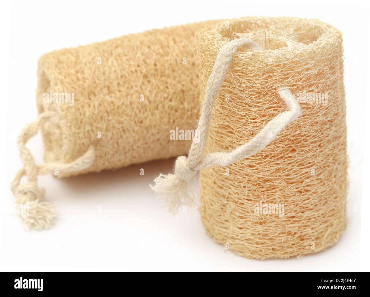 Natural scrubber of dried Ridge gourd over white background Stock Photo Alamy
