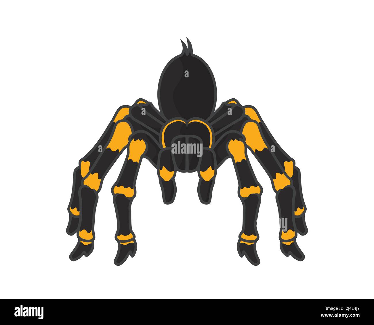 Detailed Spider with Standing Gesture Illustration Vector Stock Vector