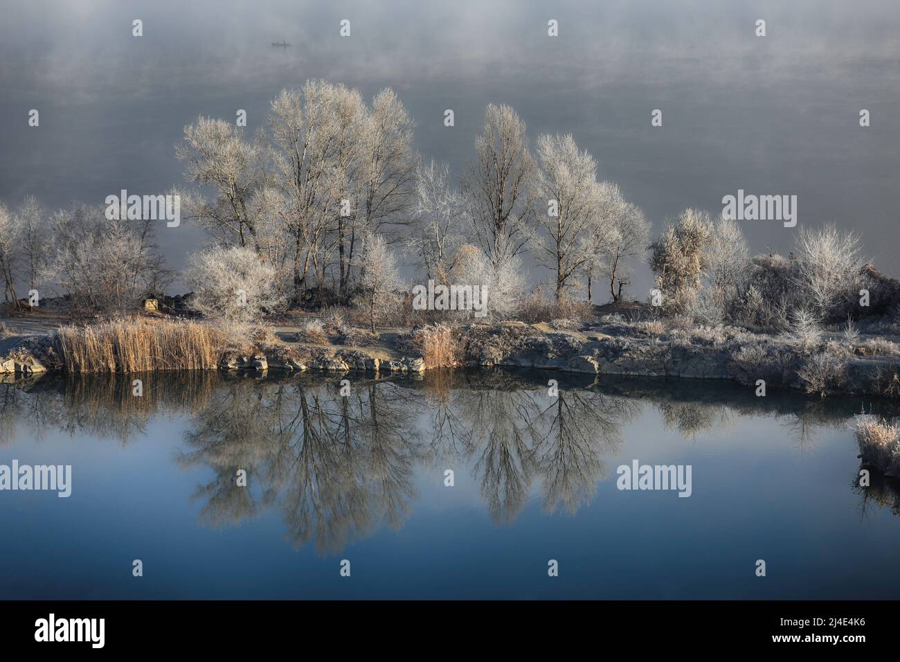 The outdoor fog hi-res stock photography and images - Alamy