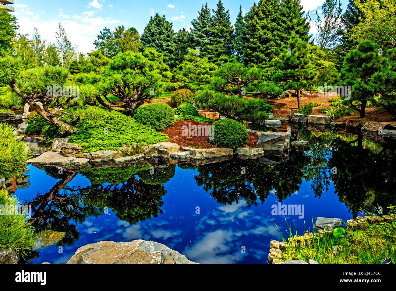 View of the pond of the Botanical garden in Denver,Colorado,USA. Stock Photo
