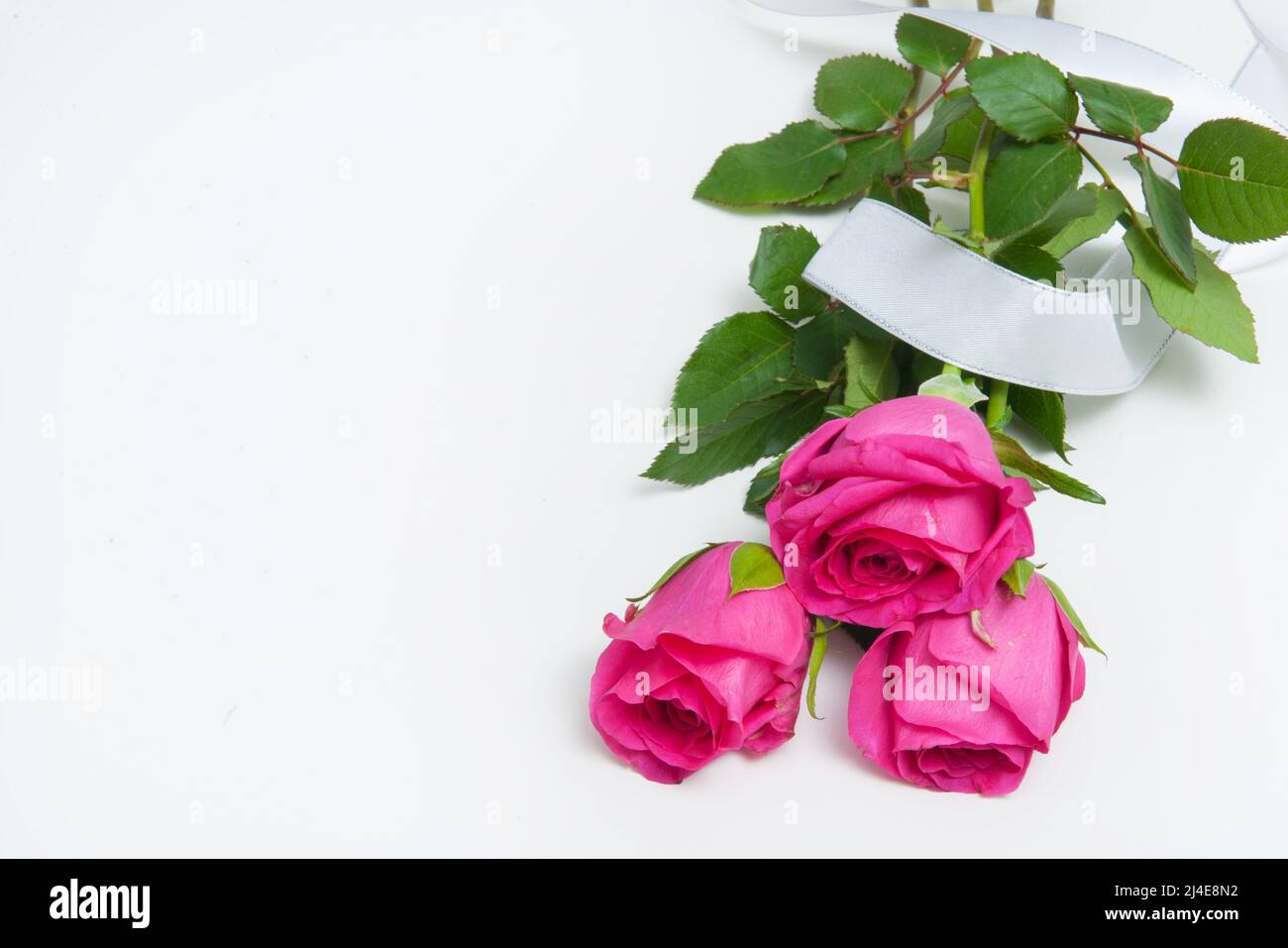 Bouquet of pink roses on a white background Stock Photo - Alamy