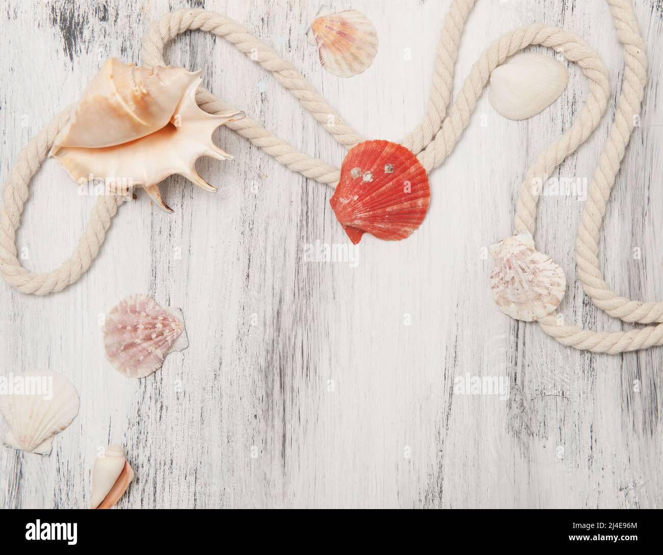 Sea background with ropes and seashells Stock Photo