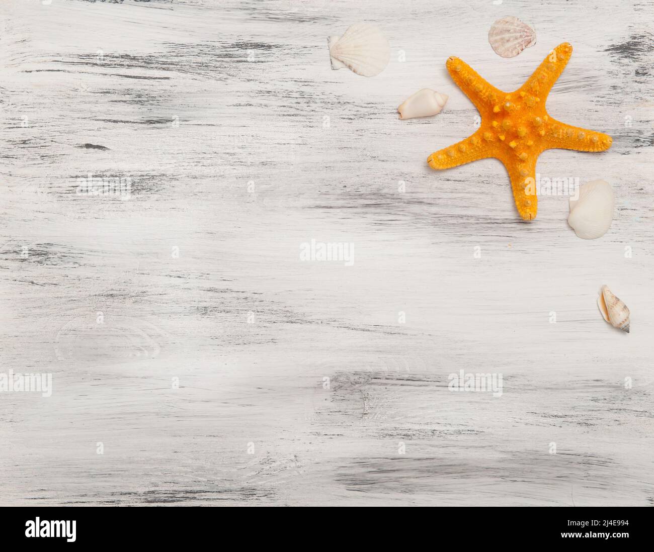 Wooden background with orange starfish and shells Stock Photo - Alamy