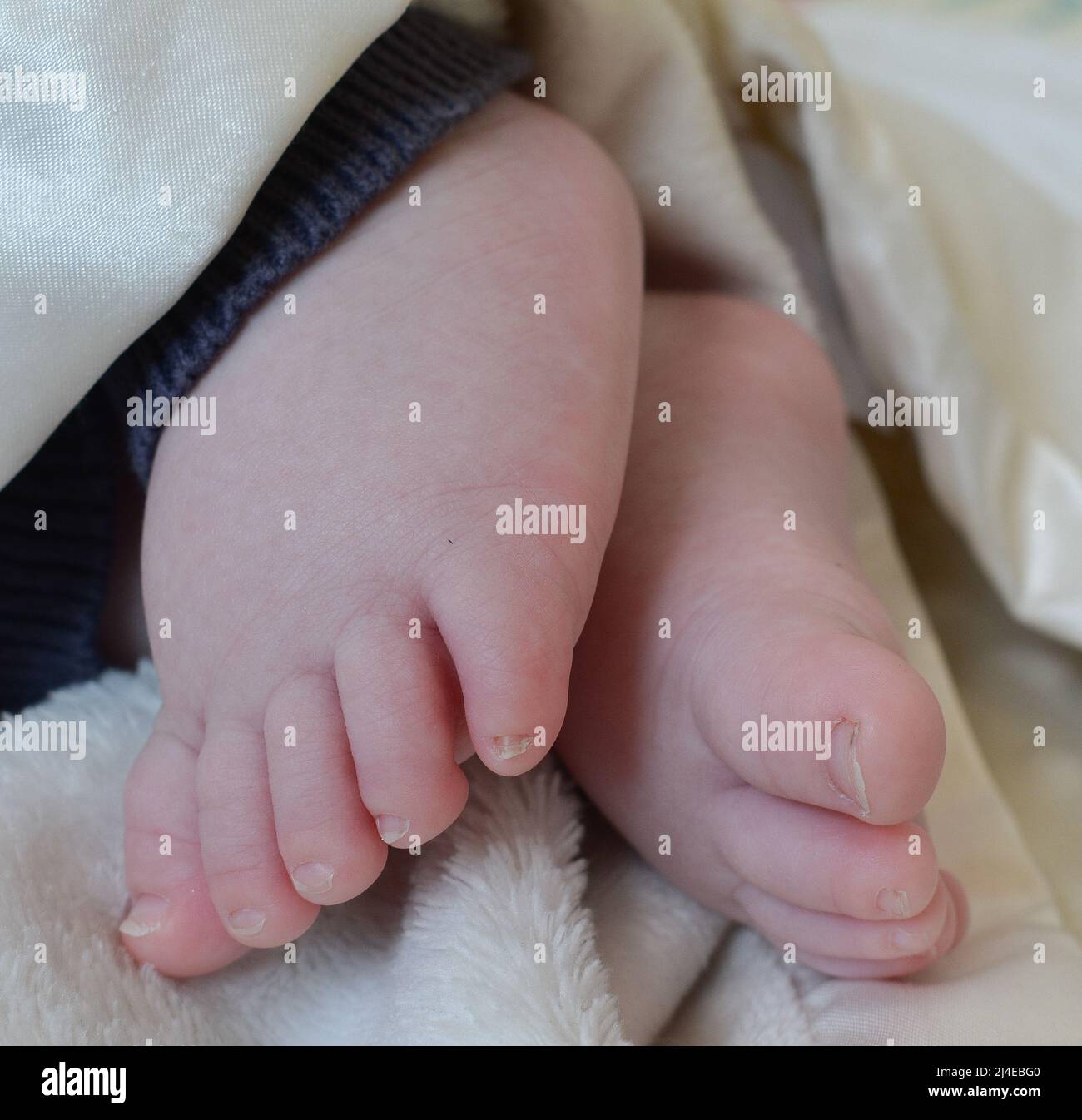 Newborn Baby Feet And Hands Stock Photo