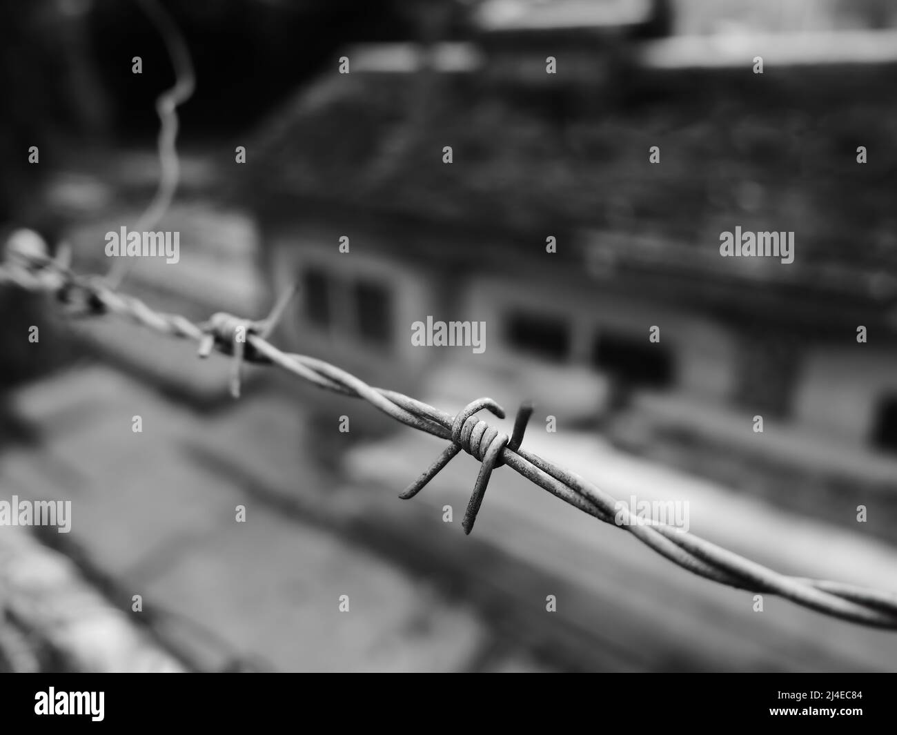 Detail of barbed wire fence and blurred building in the background ...