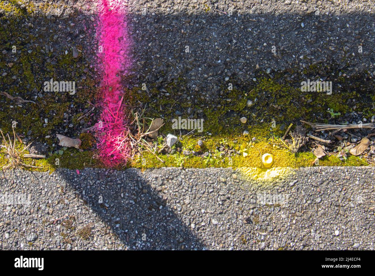 Pink and yellow spray paint marking on the pavement Stock Photo Alamy