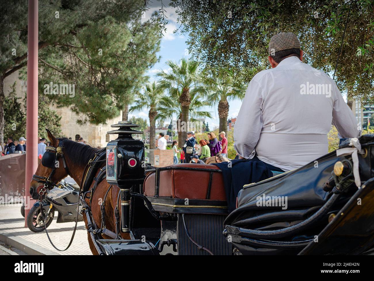 Seville, Spain; April 14, 2022: Back of a driver with a horse-drawn carriage waiting for tourists. Stock Photo
