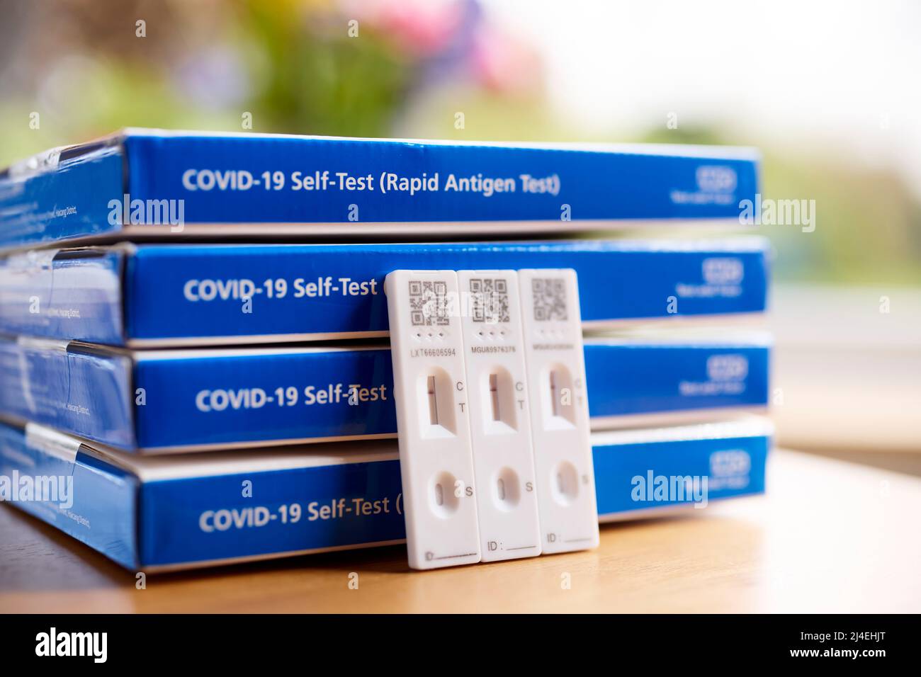 Lateral flow test boxes hires stock photography and images Alamy