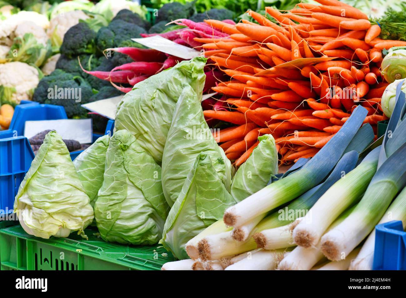 Vegetables like pointed cabbage and carrots at market sale booth Stock Photo