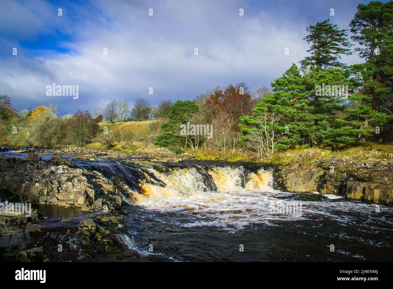 Part of the River Tees in beautiful Upper Teesdale. Low Force waterfall tumbles over the Whin Sill and through a rocky gorge lined with trees. Stock Photo